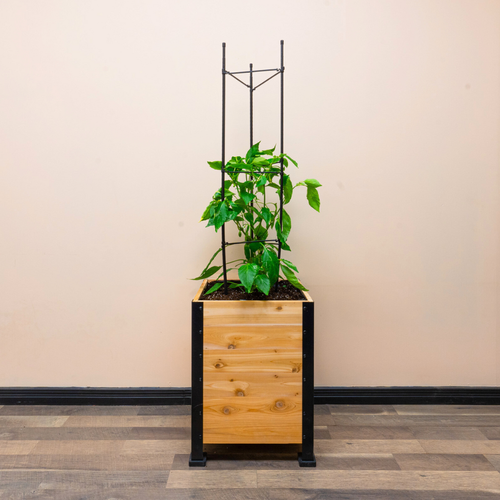 Vegetable Cage
